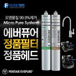 에버퓨어 EVERPURE 정품 필터 & 헤드 DIY 모음, 파우셋 03_올스텐 코브라 파우셋, 1개