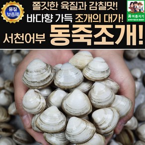 서해안 동죽조개 1kg