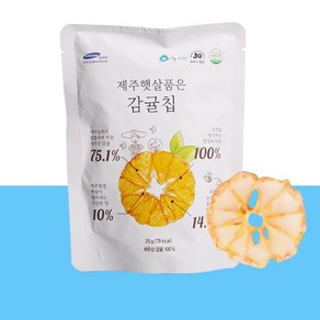 잉글랜드 다이어트군것질 칼로리낮은과자 제주 감귤칩 4종, 25g, 1개