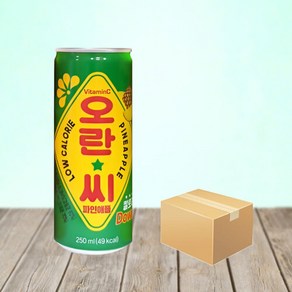 _동아오츠카 오란씨 파인애플 250ml X 30캔, 30개, 상세페이지 참조