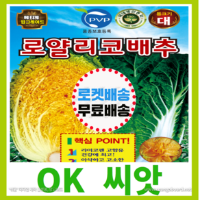 [OK씨앗] [로얄리코배추(팰랫)] 김장배추씨앗(오케이씨앗), 1개