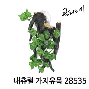 아쿠아마켓 클리오네 내츄럴 가지유목 28535, 1개