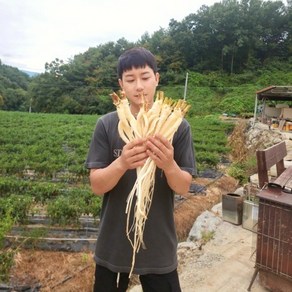 도라지 약도라지 흙 세척 햇 깐도라지 24년 국산 1kg [원산지:국산 경북 영주 봉화 예천 안동]