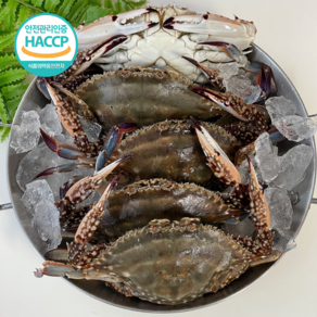 국내산 연평도 암꽃게 냉동 꽃게 급냉 최상급, 1박스, 암꽃게 1kg (3-5미)
