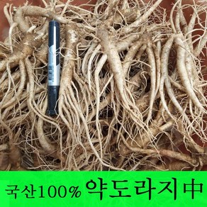 [금산도라지] 직접재배한 약도라지1kg 생도라지 *국산100%*