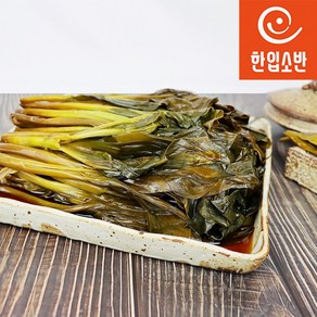 한입소반 직접담근 전라도식 명이나물장아찌 300g, 1개