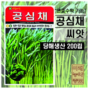 당해생산 공심채 씨앗 200립-모닝글로리 kangkong wate convolvulus seeds, 1개