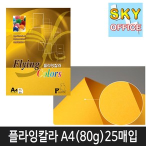 삼원특수지 칼라복사지 플라잉칼라 A4(80g) 25매입 1속