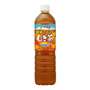 이토엔 건강 미네랄 무기차 슬림 병 1000ml×12개, 12개