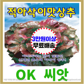 [OK씨앗] [적아삭이맛상추(봄 여름 가을)] 상추씨앗 종자(오케이씨앗), 1개