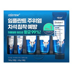 오스템 치석케어 치약 160g x 3개 + 40g x 2개 코스트코