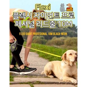 플렉시 자이언트 프로패셔널 자동리드줄 10M