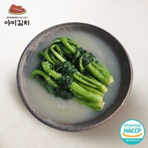 야미 여수 돌산 갓물김치, 1kg, 1개