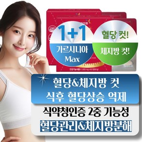 헬씨조이 시서스 필 다이어트 혈당컷 체지방감소 지방분해제, 2개, 60정