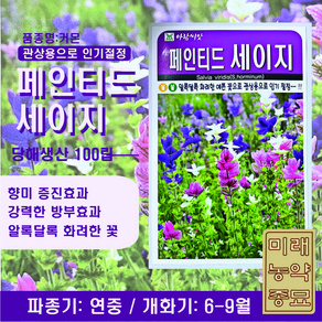 페인티드 세이지 씨앗 100립- Painted sage seeds, 1개