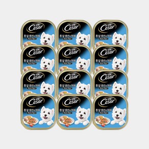 시저 애견간식 캔, 양고기, 100g, 12개