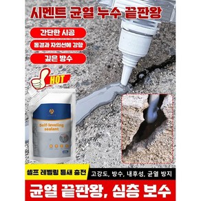 [10초 속건] ASHILE 고탄력 벽 균열 보수제 10초 속건 방수 크랙보수제! 타일 및 시멘트 지붕과 바닥 균열 복원에 적합한 만큼 내구성 뛰어난, 2개, 500ml, 그레이