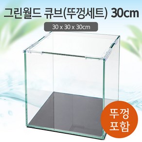 그린월드 30 큐브 수조 (뚜껑포함 일반) (30x30x30)+우레탄매트서비스, 1개