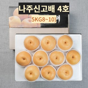 나주 배 햇 꿀 신고배 선물세트 가정용실속 중대과, 1세트, 배4호(5kg 8~10과)