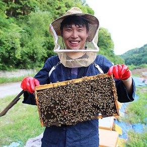 천연 벌꿀 아카시아꿀 야생화꿀 (잡화꿀) 밤꿀 꽃따라꿀따라, 야생화꿀+야생화꿀, 선물세트, 1kg, 2개