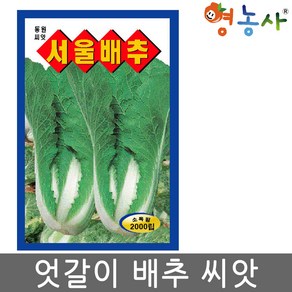 모칸도 동원종묘 서울배추 엇갈이배추 2000립, 1개