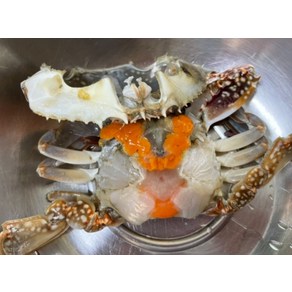 국내산 연평도 활 알배기 봄 암꽃게 4미 1kg, 1개