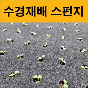 수경재배 스펀지 (농장 전문가용) 재배스티로폼 씨앗발아 양액재배, 1개