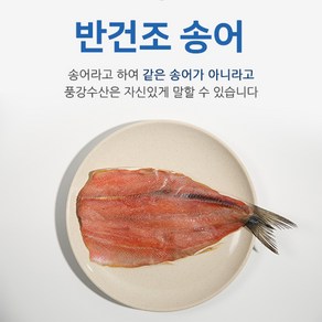 풍강수산-국내산 동해안 반건조 송어, 350g, 1개