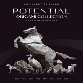 NSB9788997772506 새책-스테이책터 [POTENTIAL ORIGAMI COLLECTION] ---한국종이접기협회-김진우 외 지음-종이접기/종이, POTENTIAL ORIGAMI COLLECTION