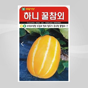 슬로시 열매 씨앗 종자 고추 가지 토마토 완두콩 녹두