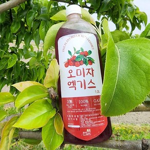 올바른새움푸드 국산 100% 문경 오미자엑기스 오미자원액, 1개, 1L