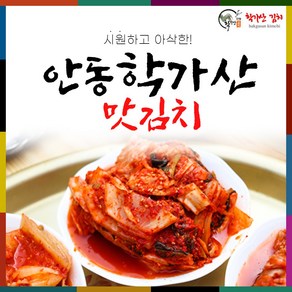 [도경식품][국산100%] 안동학가산 맛김치 5kg_아이스박스