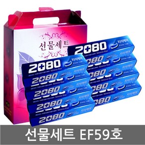 EF59호 선물세트/2080 어드밴스 치약 120g/판촉/홍보, 초록풀잎/선물세트-EF59호x 1세트, 120g, 1개