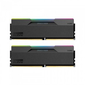 KLEVV DDR5-7200 CL34 CRAS V RGB 서린 (32GB(16Gx2)), 2개