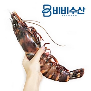 기타 킹블랙타이거새우 230~289g 32cm *2마리