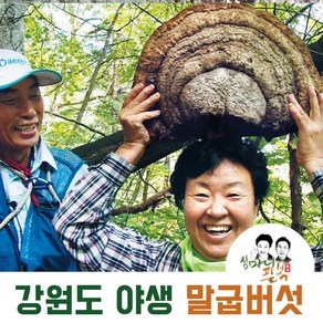 자연산 말굽버섯 강원도 말발굽버섯 절단 말굽, 1개