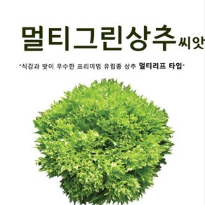 유럽상추 멀티그린 상추씨앗 (100립) 코팅씨앗 프리미엄, 117. 멀티그린 100립, 1개