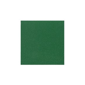 정재단가죽 10X10CM - 앱송 (그린), 단품