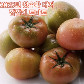 맑은팜 대저토마토 짭짤이 (로얄과), 1박스, 1kg(로얄)