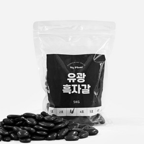 마이플랜트 유광흑자갈 5kg, 4호(20~40mm), 1개