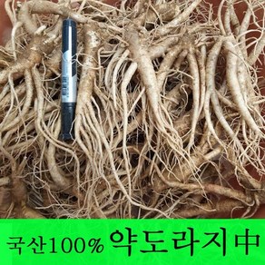 [금산도라지] 직접재배한 생도라지1kg >산지직송>국산도라지 약도라지 엑기스용 나물용 무침 정과용 배즙용 *국산100%*, 1개, 약도라지(중) 1kg