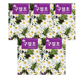 모두다 꽃씨앗 구절초씨앗(1000립), 5개