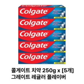 콜게이트 그레이트 레귤러 플레이버 치약, 250g, 5개