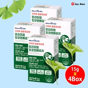 기억력 혈행개선 은행잎 추출물 혈액순환도움 징코앤메모리 50mg [그다이마잇], 4박스, 30정