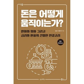 돈은 어떻게 움직이는가?:원화와 외화 그리고 금리와 환율의 긴밀한 연결고리, 생각비행, 임경, 권준석