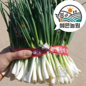[농장직송] 싱싱한 깐쪽파, 1개, 1kg
