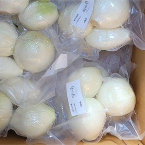 [한끼채]양파 깐양파 진공 포장 1팩450g (총2.25kg 5팩) 가정용 산지직송 국산 창녕 양파, 5개