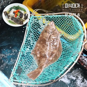 자연산 손질 도다리 봄도다리 쑥국, 1개, 1kg(손질후 800g)