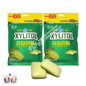 해태제과 자일리톨 애플라임민트껌(110g) 2봉+자색옥춘사탕 20g 세트