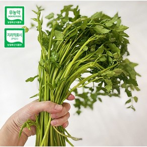 청도 한재 무농약 미나리 1kg / 500g 깨끗이 세척 후 손질, 1개